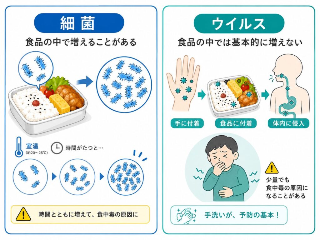 食中毒における細菌とウイルスの違いを比較した図。細菌は食品中で増えることがあり、ウイルスは食品中では基本的に増えないことを示している